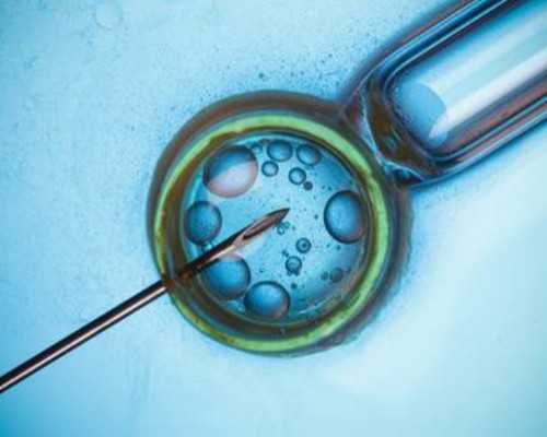 北京试管助孕：男方精子提取与排精的最佳时机与注意事项