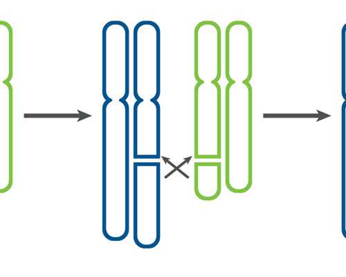 南宁试管助孕指南:2026年新疆地区试管婴儿医院技术及费用详解