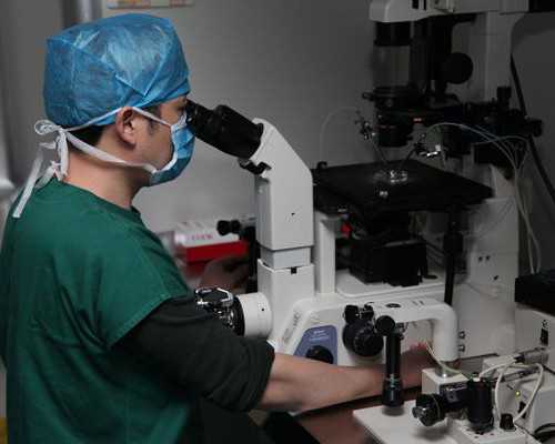 叶酸多久可以停服？助孕过程中是否需要补充？