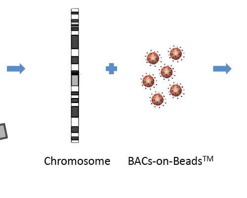 南宁孕育分享：我的好孕经验与试管婴儿知识