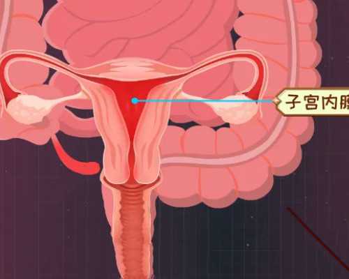 南宁孕期饮食指南：怀孕早期孕妇能吃梨吗？