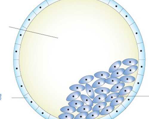 泉州助孕三代试管：代怀服务流程与成功经验分享