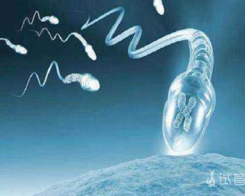 探秘天津三代试管婴儿技术与代生助孕