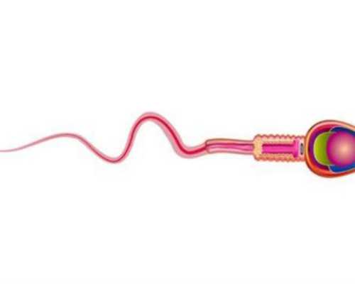 南宁试管助孕：2026年永州三代试管借精生孩子费用与流程详解