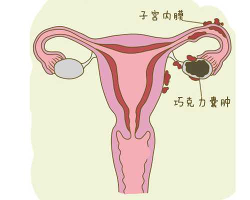 专业代怀机构解析：试管婴儿的全方位指南