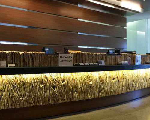 <strong>试管助孕流程解析及费用参考</strong>