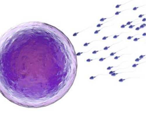 2026南昌试管婴儿技术优选指南，助您圆梦求子