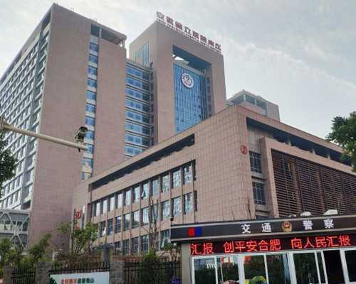 备孕期间的助孕食物与受孕技巧