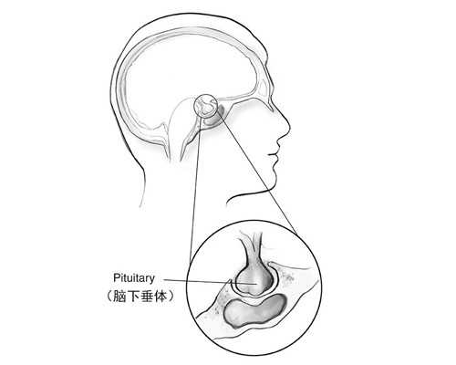 专业代怀服务,美国助孕试管婴儿孕前饮食“红绿灯”