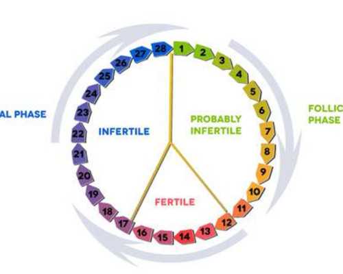 代怀妈价格表,阳泉试管助孕供精生子大概要多少钱