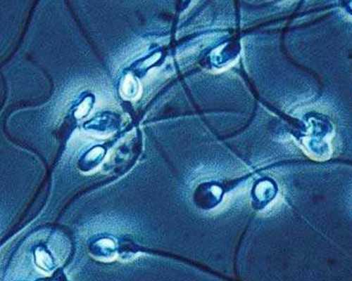 探索广西试管婴儿：从检查到费用明细