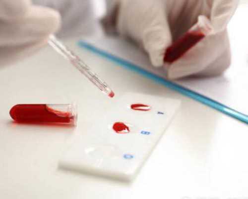 解析2026年试管婴儿助孕成功率与关键影响因素