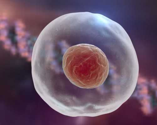 代生市场价,应城有没有能试管助孕的医院？