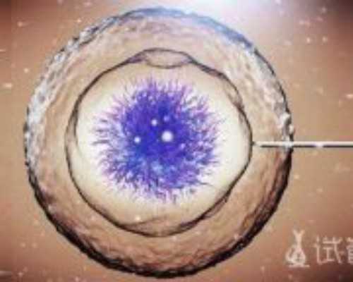 助孕生殖咨询：天津知名辅助生殖医院与专家