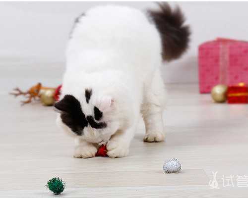 找代生的人多吗,天津助孕医院电话,能负担起吗？