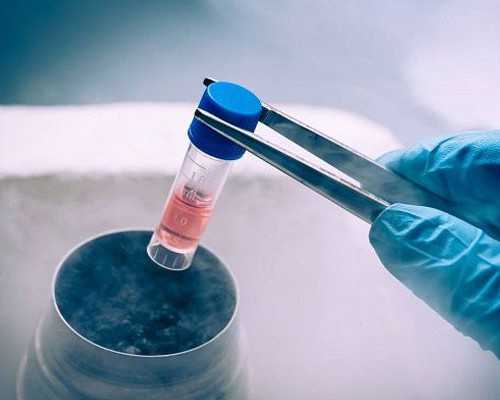 揭秘女性不孕不育的前兆:停经、腹痛与卵巢功能