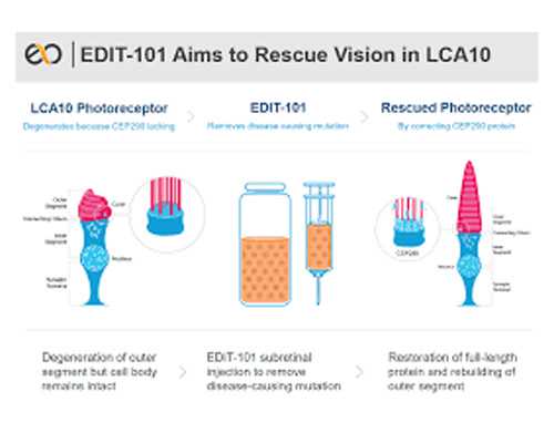 解析试管婴儿着床后生化的原因及试管婴儿详尽流程