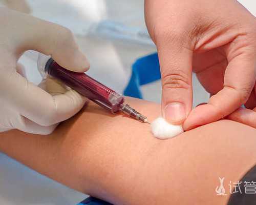 解析供卵助孕费用与成功率：助您实现生育梦想