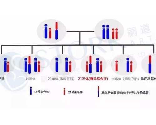 南宁试管助孕:经验分享与过程解析,助力好孕