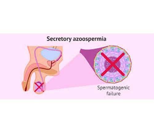 代怀母亲的费用和北京人工助孕的成本