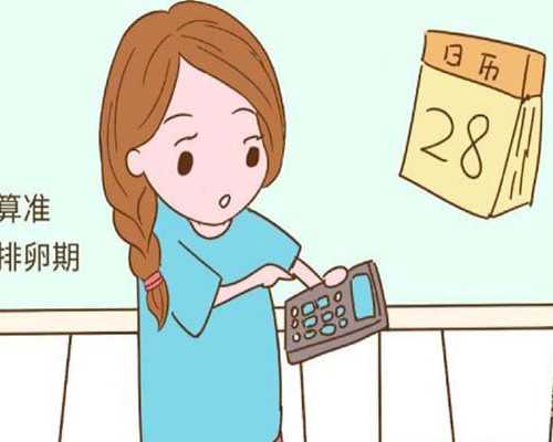 探寻助孕良机：掌握排卵期生育秘诀