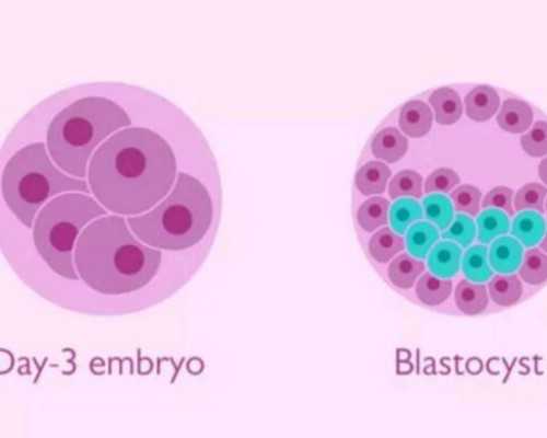 南宁助孕：解析试管婴儿孕周推算与成功经验分享
