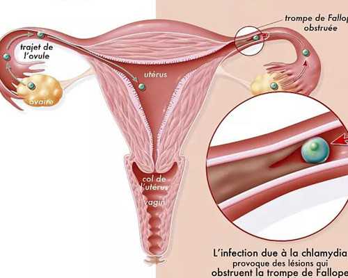 首次试管婴儿助孕的注意事项与经验分享