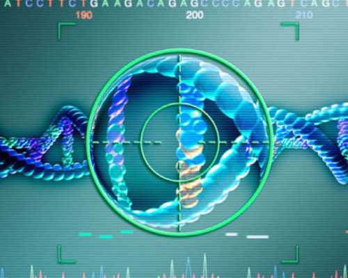 可靠供卵助孕:揭秘辅助生殖技术在义乌的应用与选择
