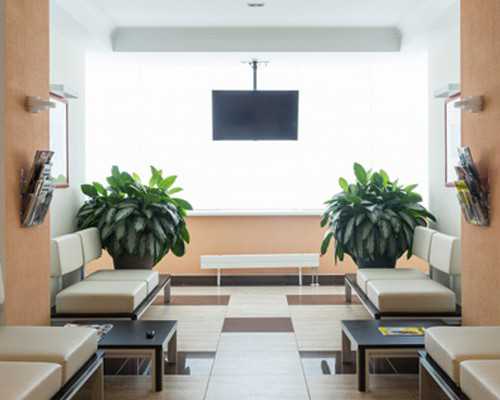 广西地区代生助孕费用与流程解析