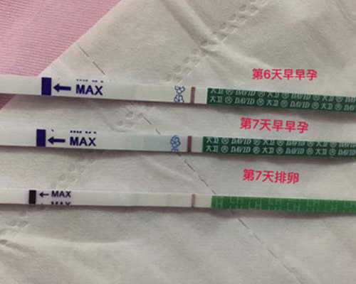 借卵代怀价格与天津助孕医院的比较