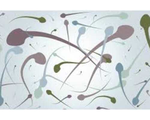 南宁试管婴儿全攻略：儋州及周边地区助孕指南与费用详解