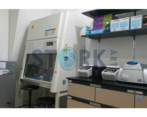 南宁试管婴儿费用解析：私立医院、成功率与治疗指南