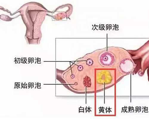南宁助孕方法AIH详解：夫精人工授精全攻略