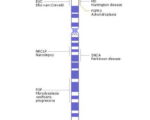 试管婴儿养囊的重要性与适用人群分析