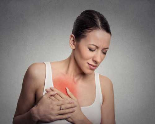 探索猫咪性格塑造之路