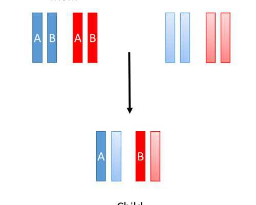 探究宫外孕的成因与预防:了解异位妊娠的风险