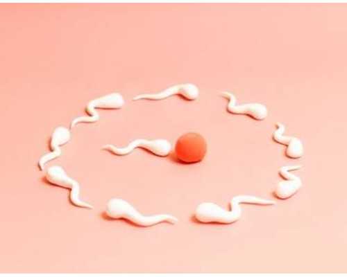 揭秘南宁第三代试管婴儿全流程：提升成功率的关键因素