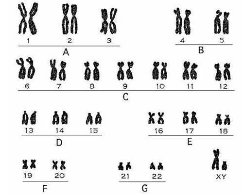 南宁三代试管助孕：2026年借精生子费用明细与全流程花费解析
