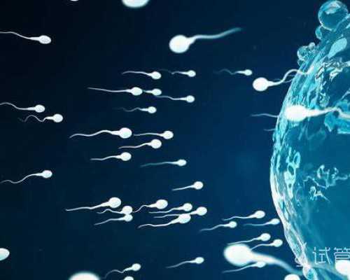 国内试管婴儿技术领先的医疗机构推荐