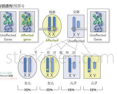 供卵正规代怀,天津三代试管平台_正规助孕网