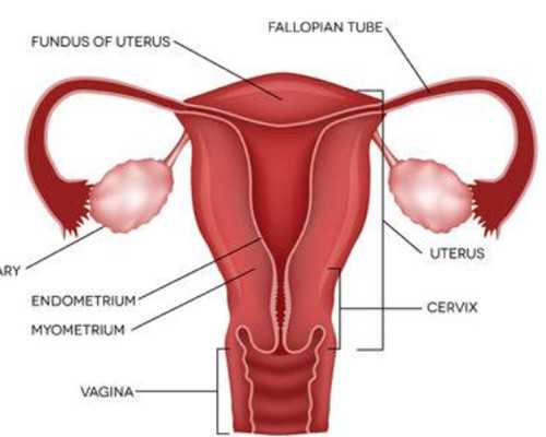 广西试管婴儿费用大概要多少钱_广西试管婴儿