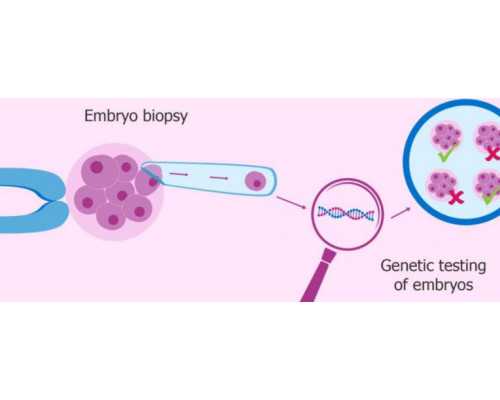 第三代辅助生殖技术：适宜人群与健康考量