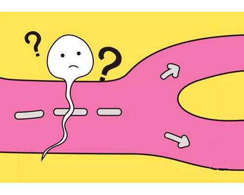 深入解析试管婴儿助孕流程与备孕关键点