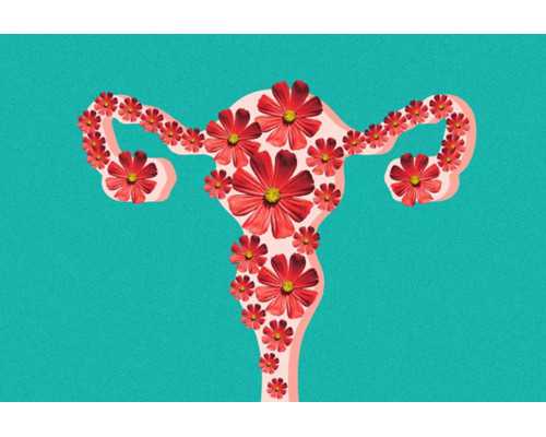 广西南宁试管助孕医院选择指南:成功率与费用解析