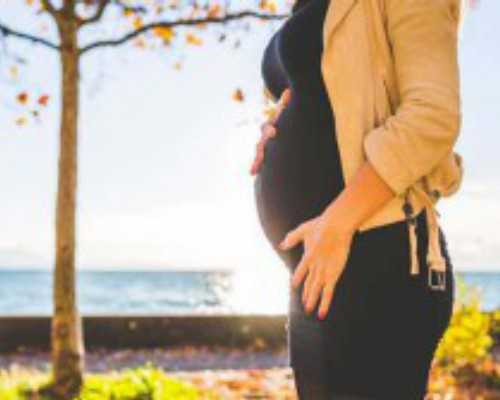 探索生育新可能：选择合适的助孕机构