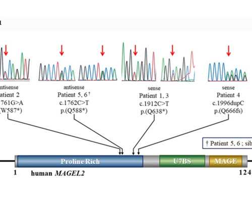 南宁试管助孕优选：资深医生与先进技术助力好孕