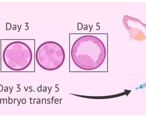 代孕哪家靠谱,天津试管男孩-正规助孕中心